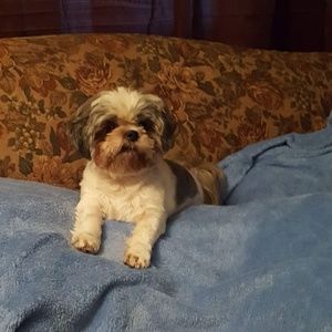 Meet your Posher, Christina